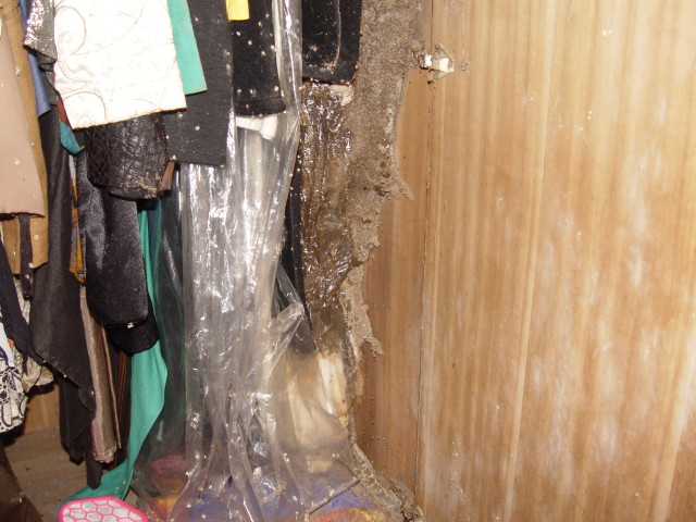 衣櫥裡的塑膠衣套內也可以變成白蟻築巢的地方