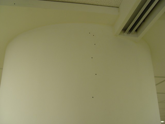 常見的木蠹蟲危害 : 3-3.55mm的圓形蟲孔